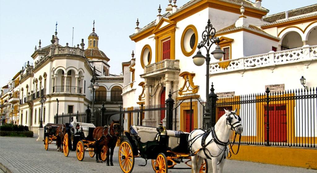 Like - Museo Apartamento