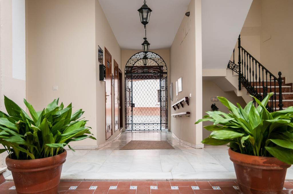 Cruces Apartamento