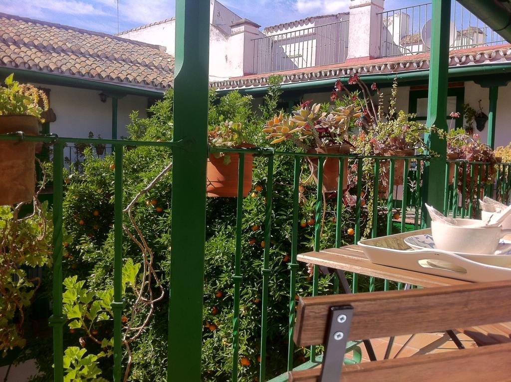 Apartamento Tradicional Oasis Sevillano *