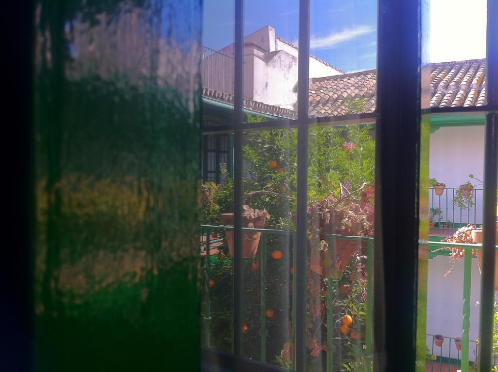 Apartamento Tradicional Oasis Sevillano Sevilla