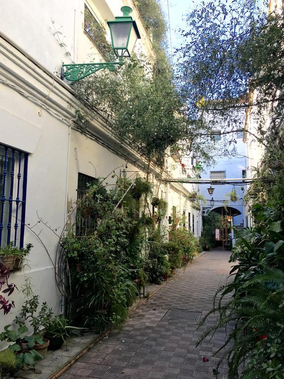 Casas De - Puente De Triana Seville