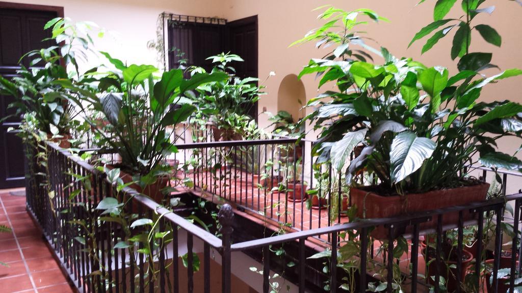 Apartamento Plaza San Marcos *