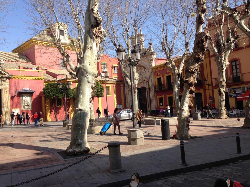 Alameda * Sevilla