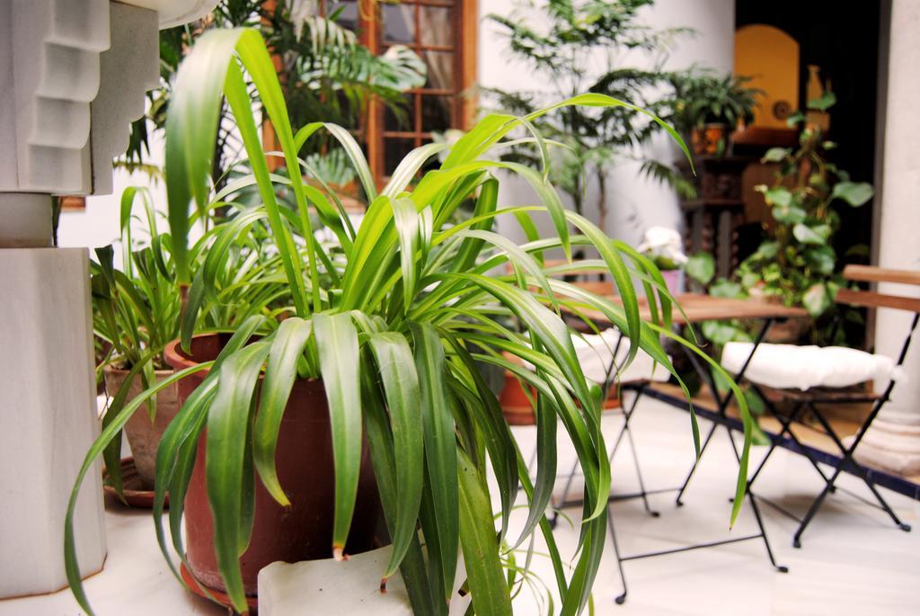 Habitación en casa particular Casa Palacio Siglo Xviii