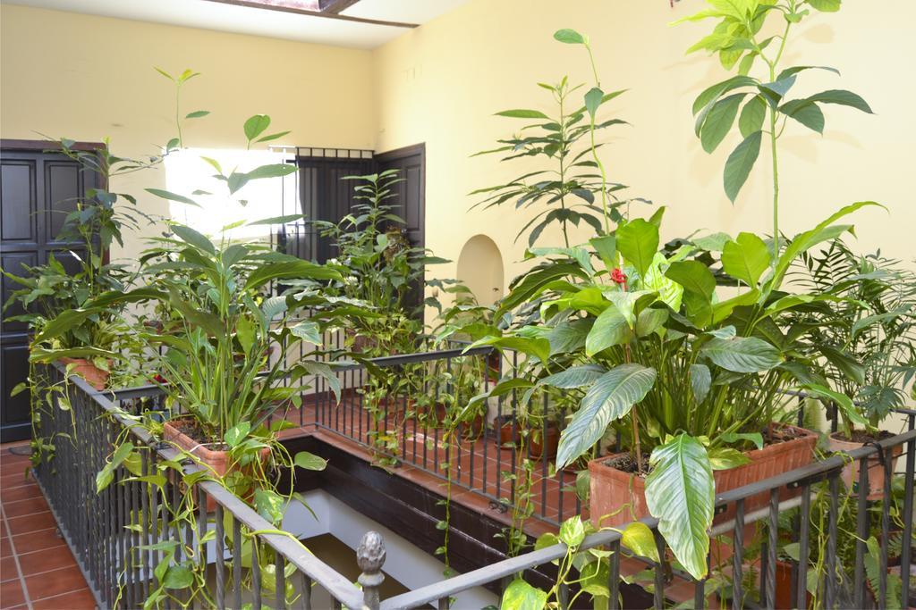 Apartamento Plaza San Marcos Sevilla