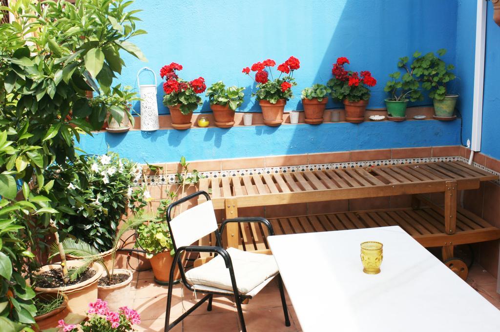 La Terraza Azul Apartamento