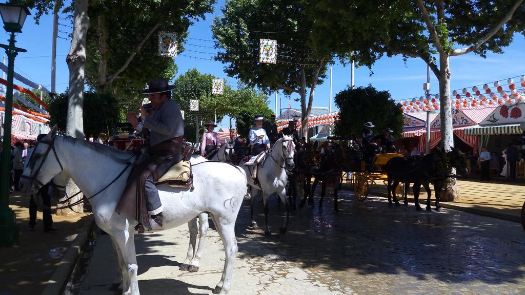 Trotamundos Seville