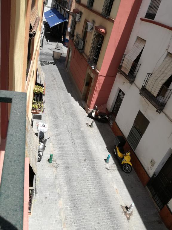 Alameda. Marco Sancho. Centro De * Sevilla