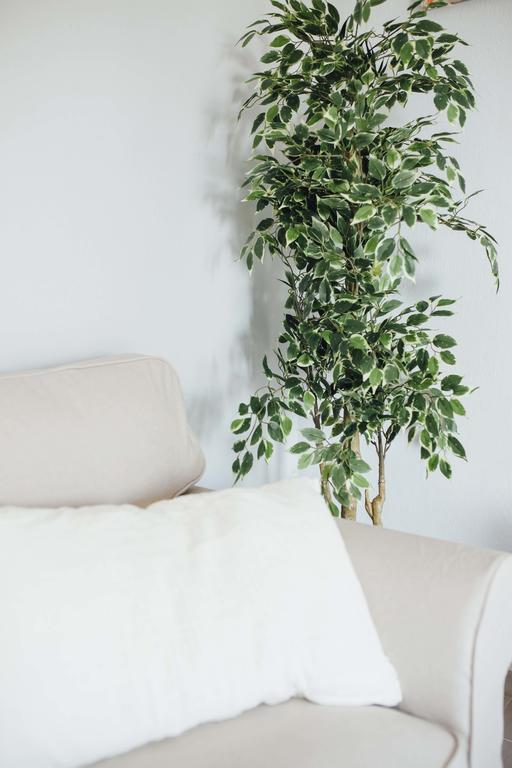One&lux - Setas 3 Apartamento