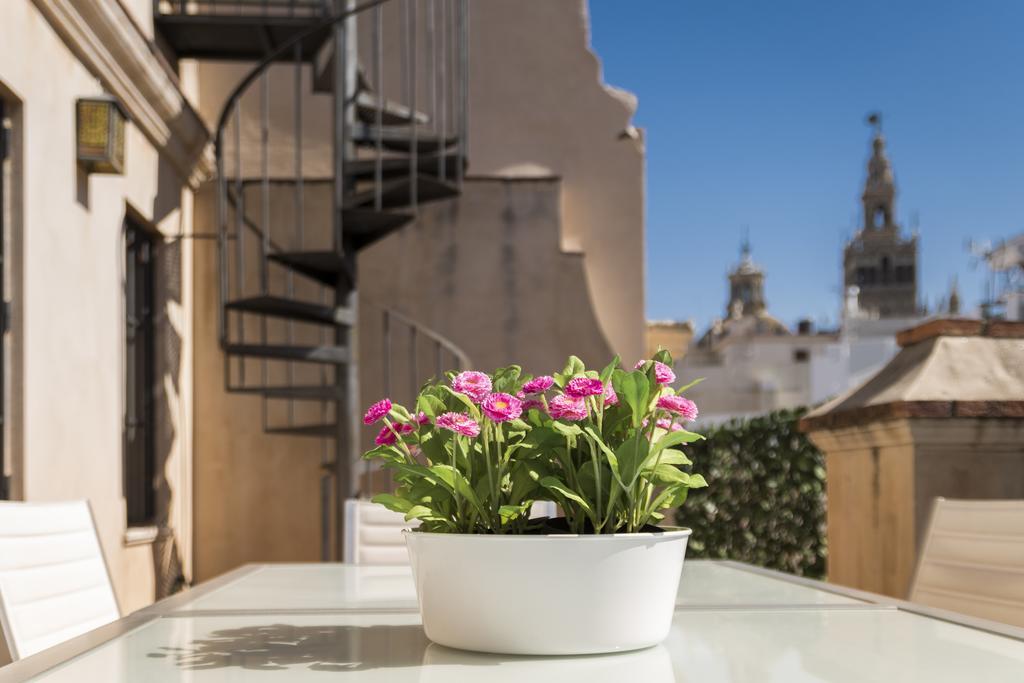 Genteel Vinuesa Sevilla