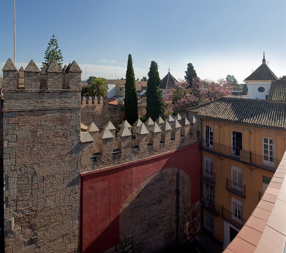Murillo Alcázar *