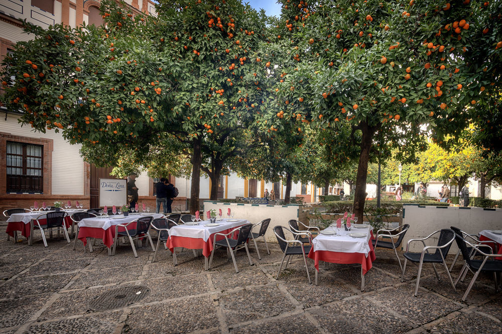 Hotel Hotel Dona Lina