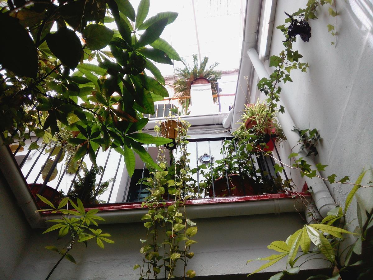 Guest house Virgen De La Luz *