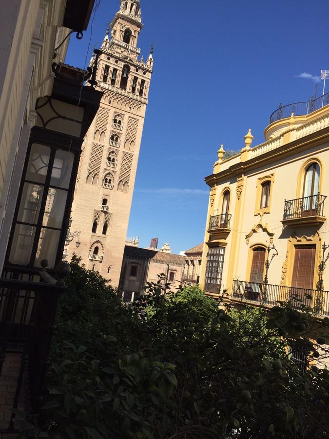 Plaza Nueva Apartamento *