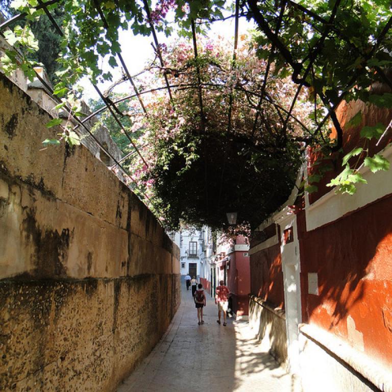 Tourist House Alcazar (adults Only) *