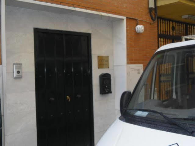 Jentoft Sevilla