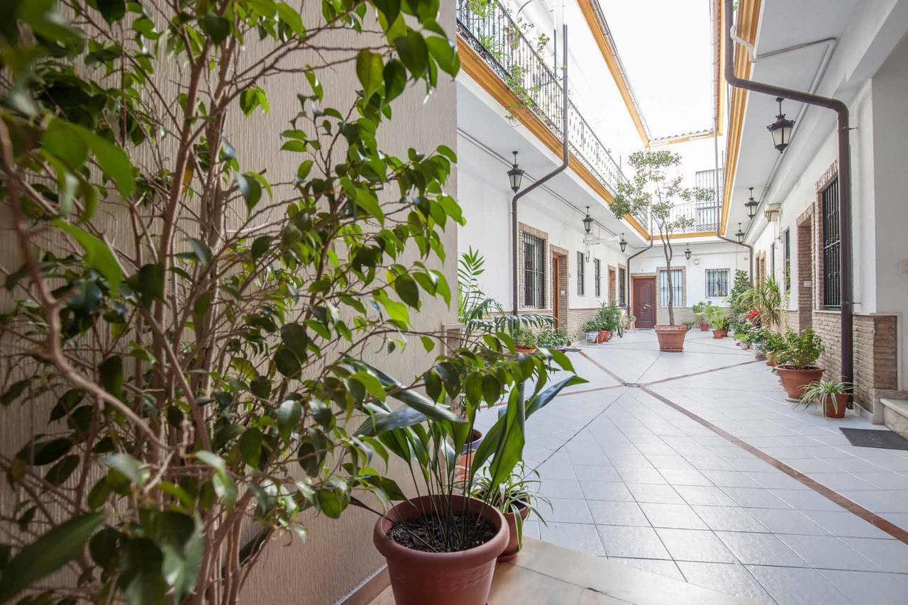 Maravilloso Duplex En Sevilla