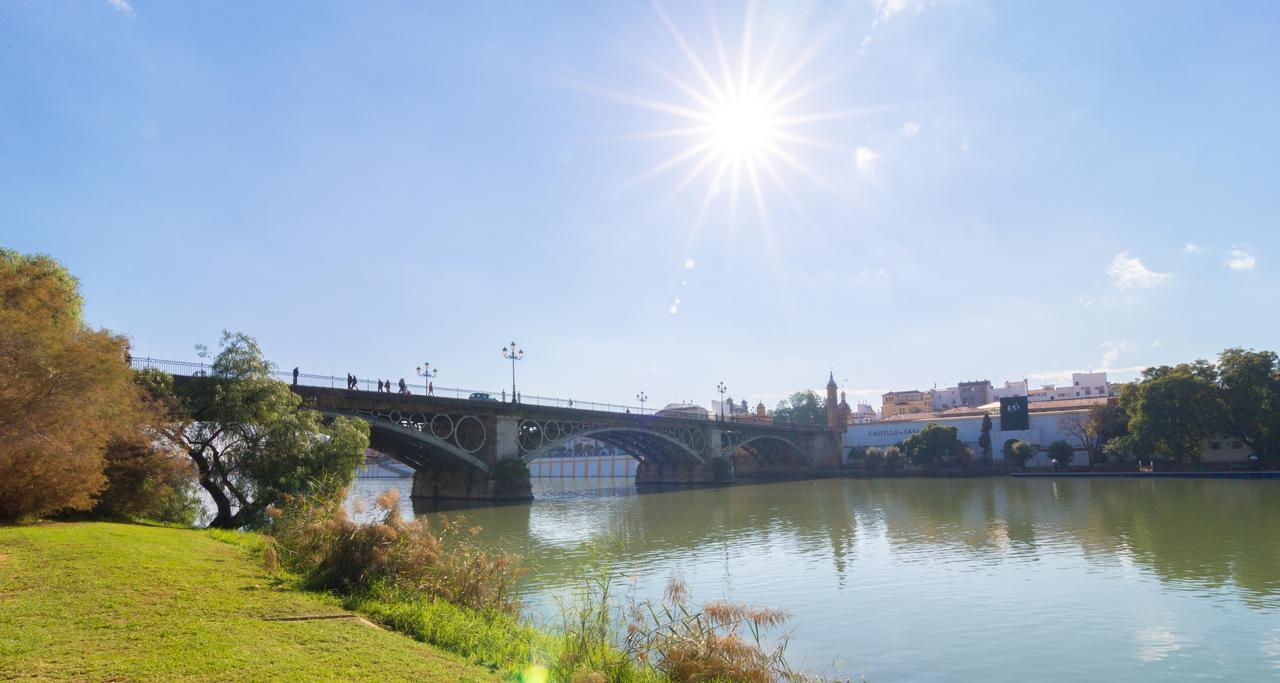 Jentoft * Sevilla