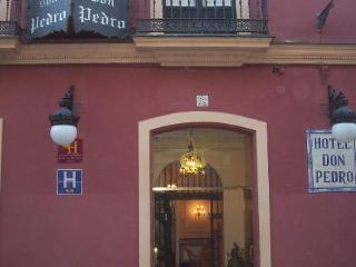 Casa Palacio Don Pedro * Seville