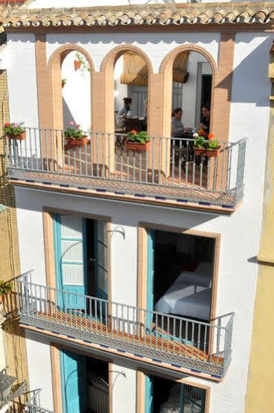 Monkeys Pureza House Apartamento