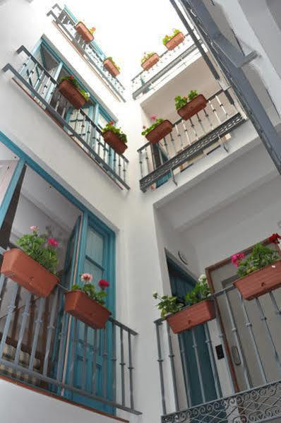 Apartamento Monkeys Pureza House