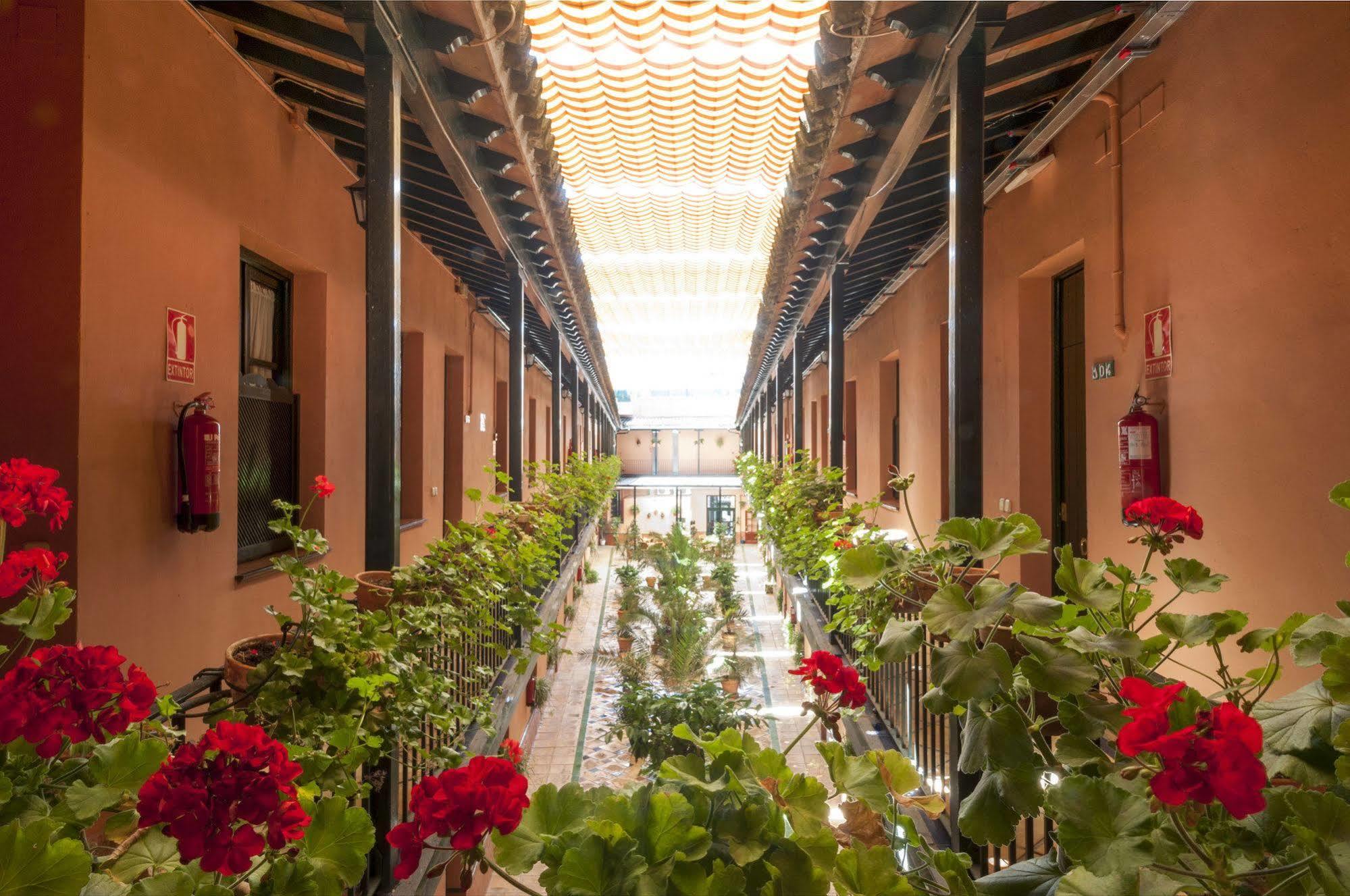 Apartamento Corral De Chícharos *