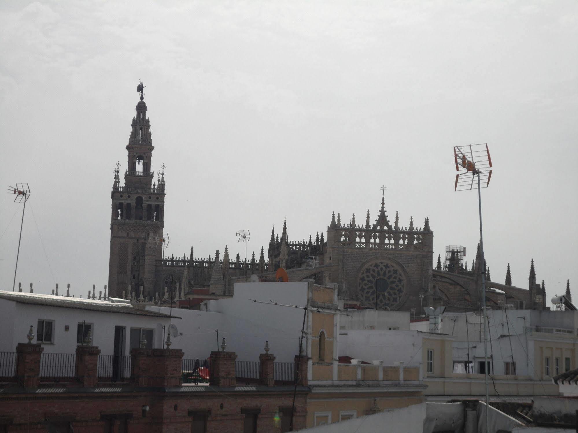 Terrazas De La Catedral Seville