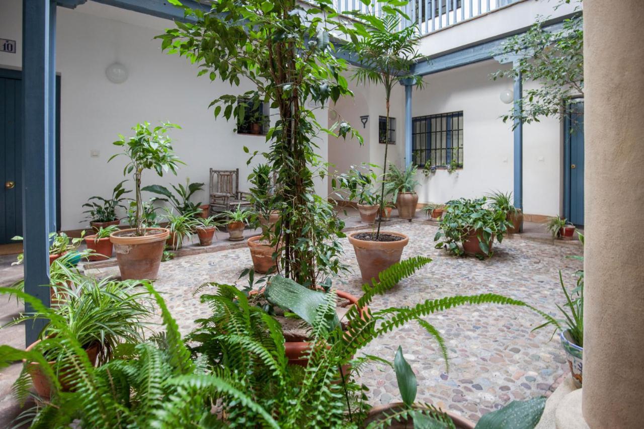 Espectacular Con Terraza Privada Parking Apartamento Sevilla