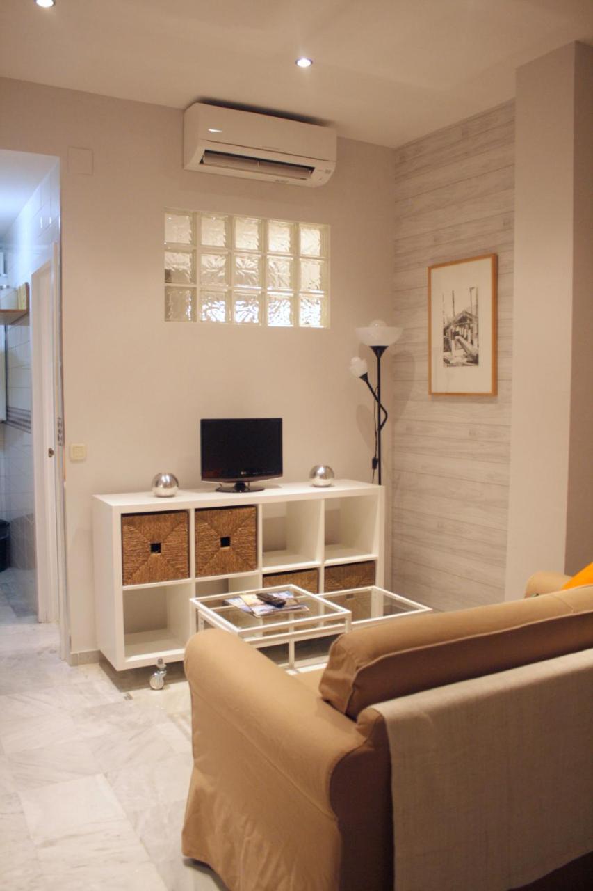 Apartamento Fantastico Estudio En Centro Ciudad - Conde De Ibarra 11/13- *