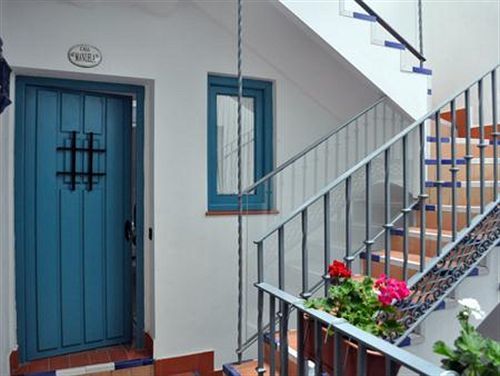 Monkeys Pureza House Sevilla