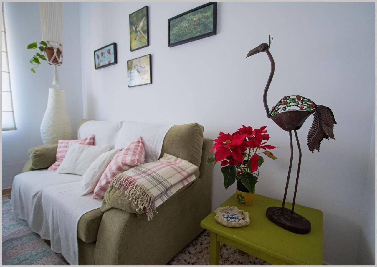 Casa De Pájaros Apartamento