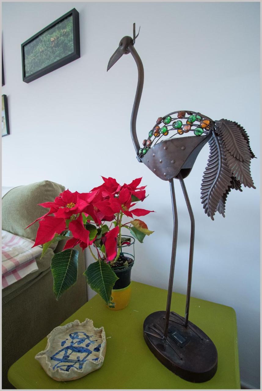 Casa De Pájaros Apartamento