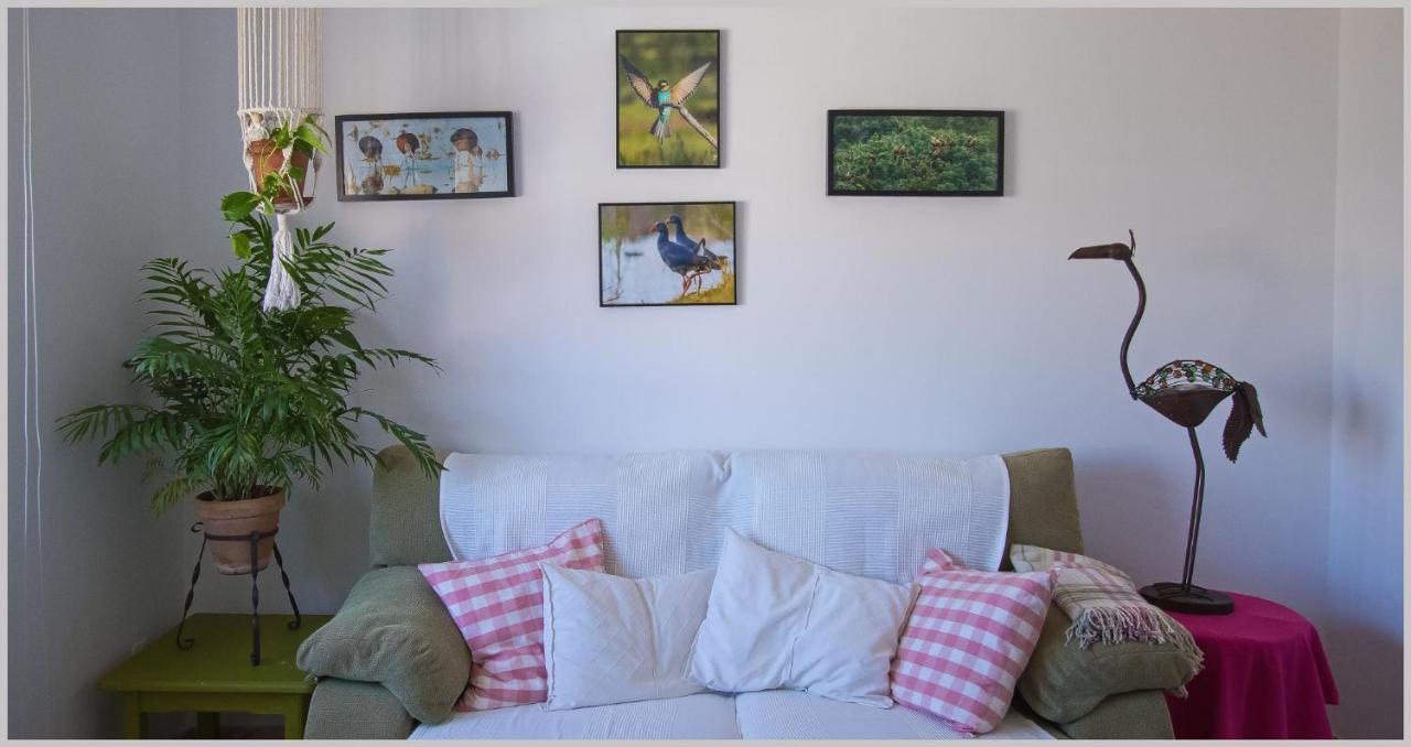 Casa De Pájaros Apartamento Sevilla