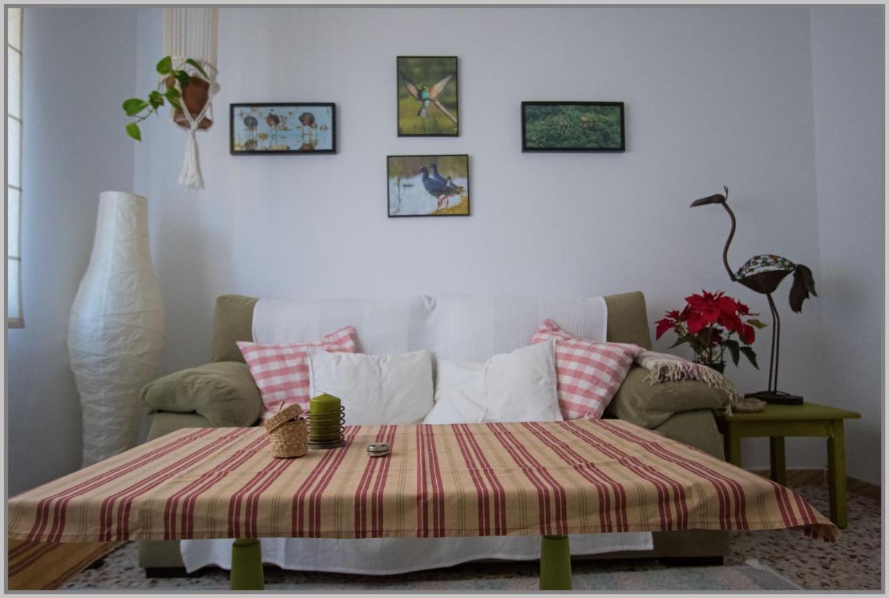 Casa De Pájaros Apartamento Sevilla