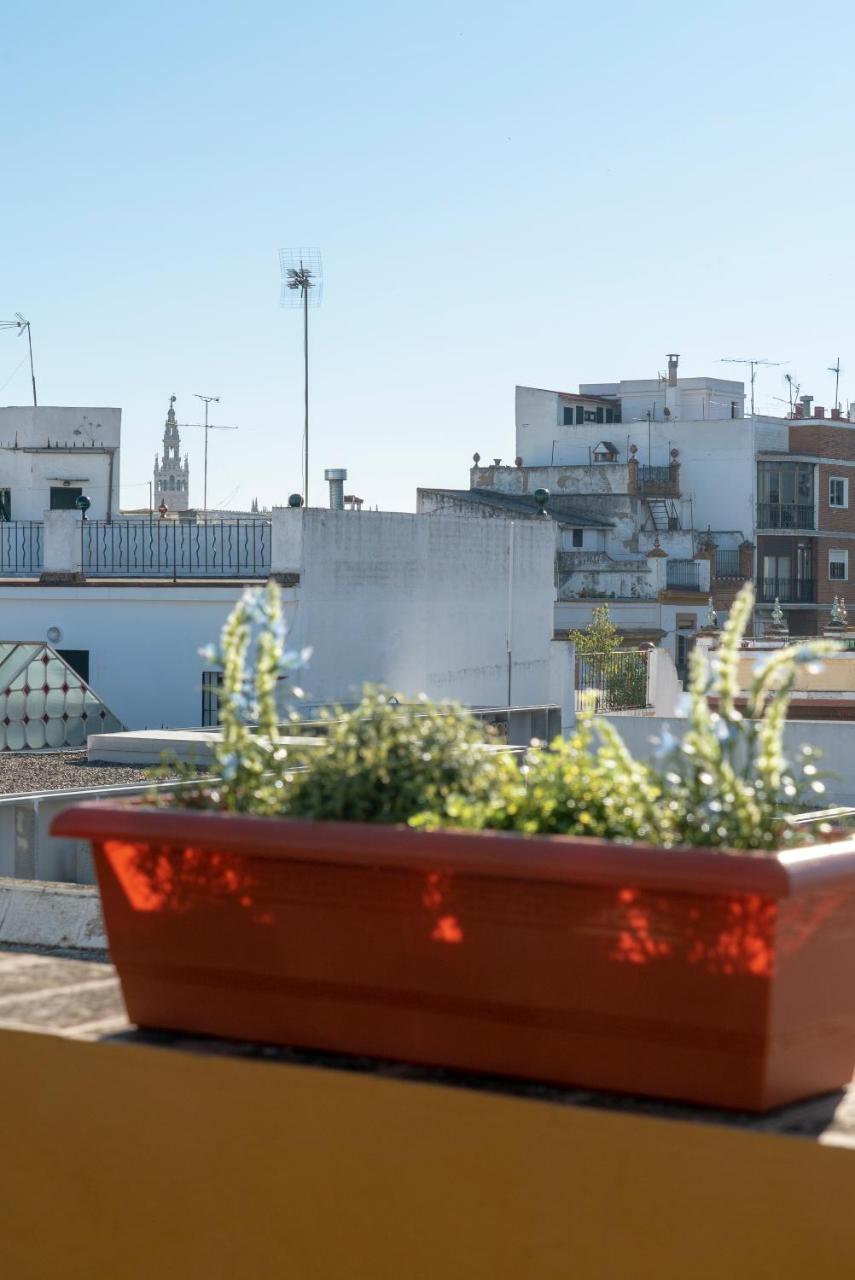 Apartment Alfareria Seville