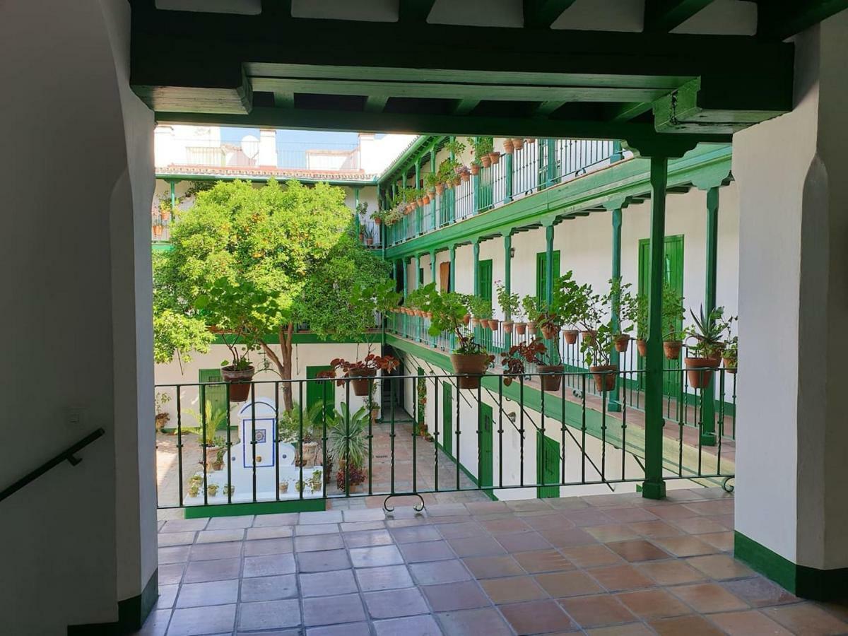 Setas Apartamento *
