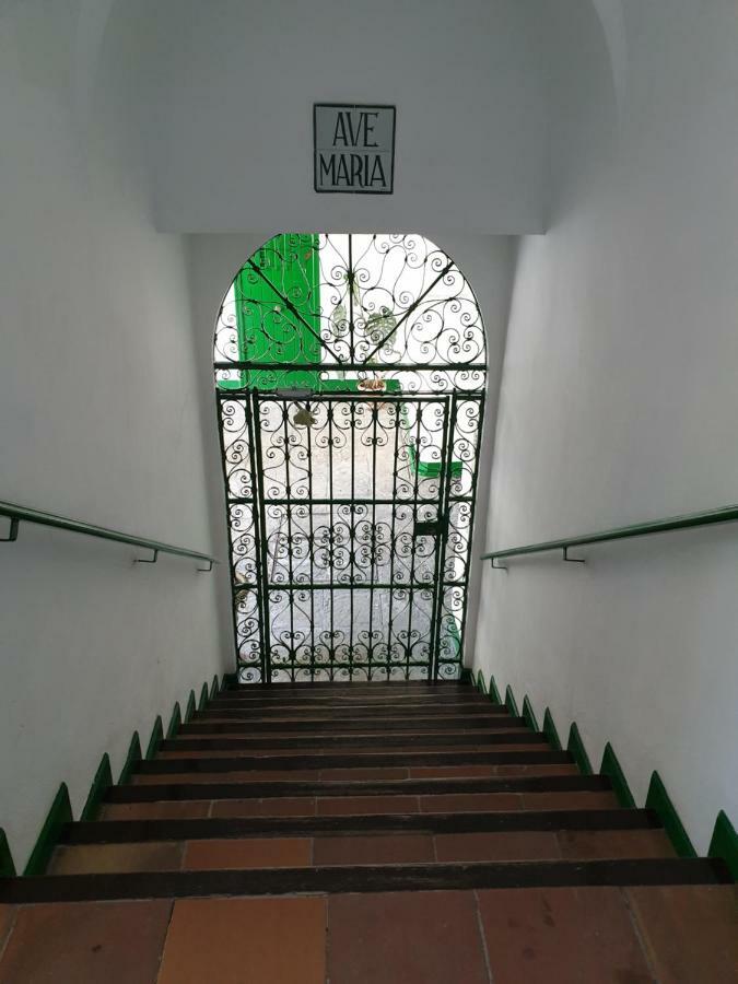 Setas Apartamento *