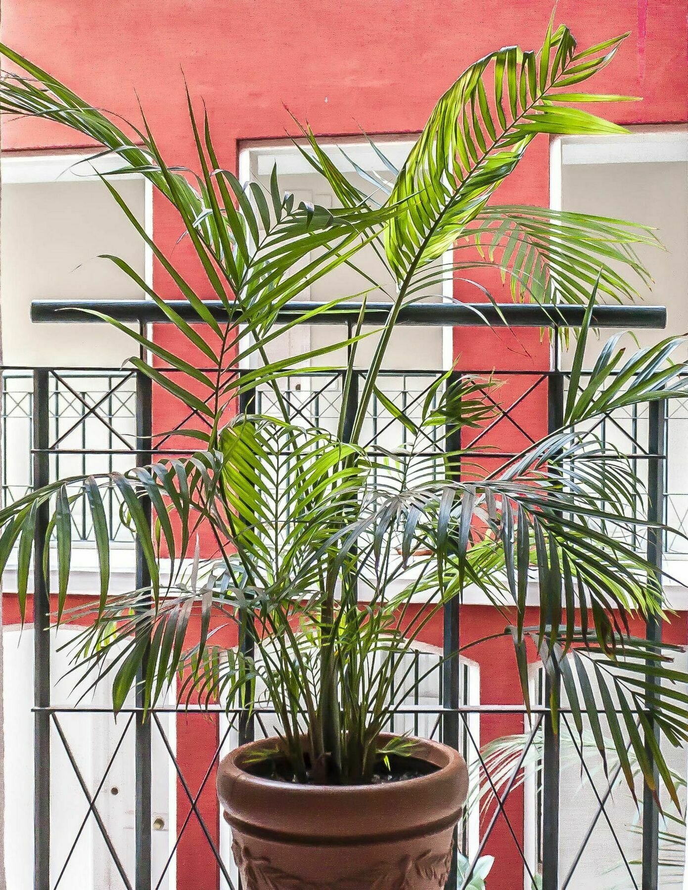 Apartamento En El Centro Historico