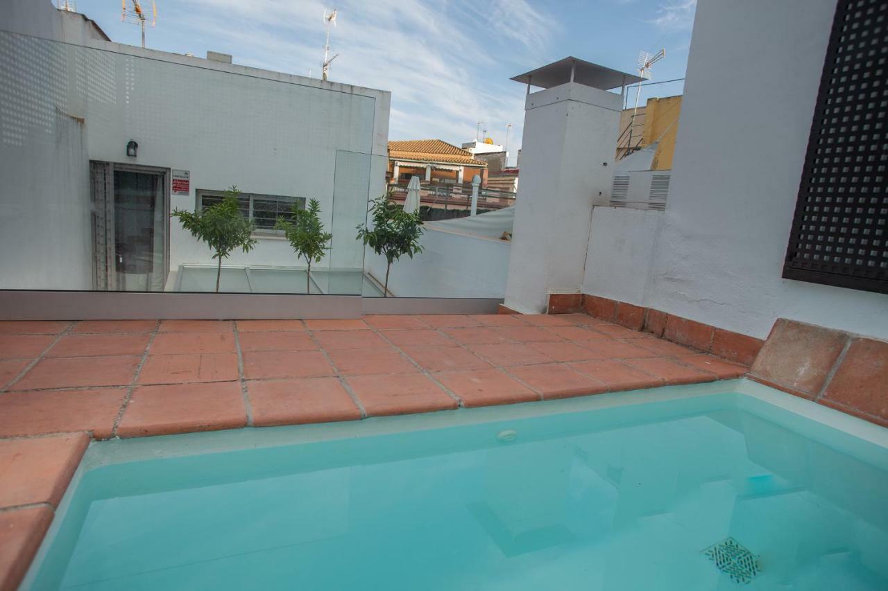 Сasa de vacaciones Casas De - Casa Sevillana Harinas26