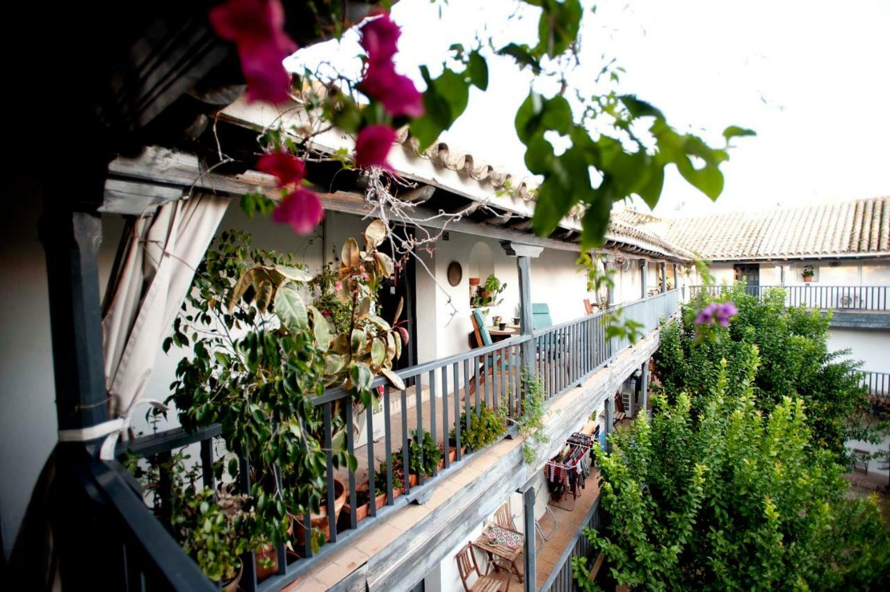 Un Oasis En El Corazon De Apartment Seville