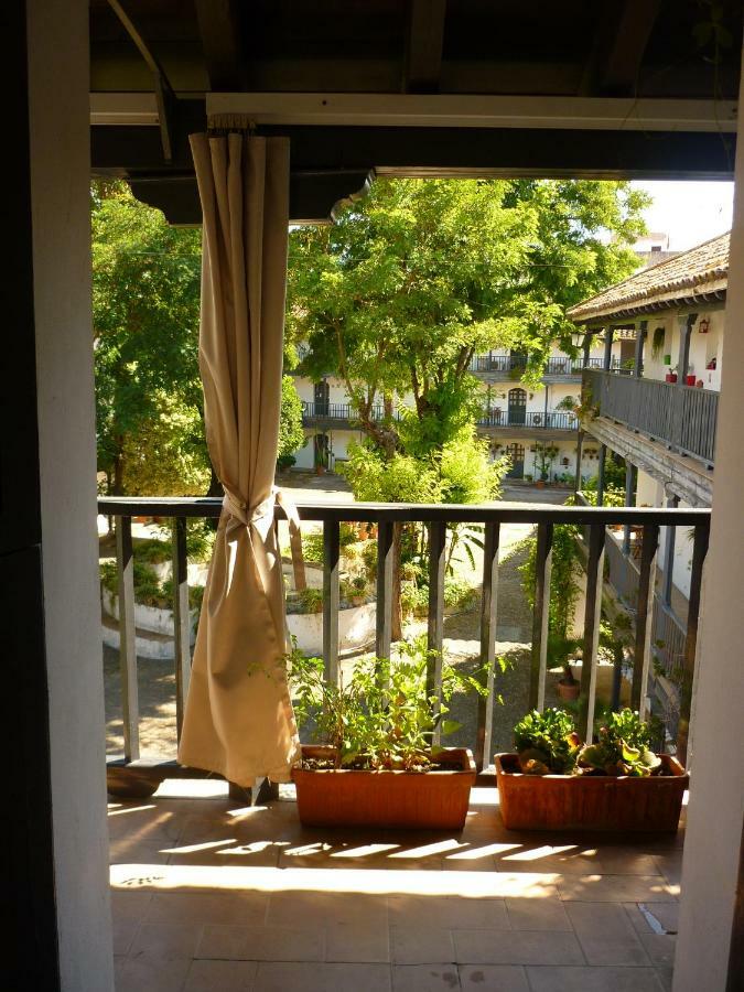 Un Oasis En El Corazon De Seville