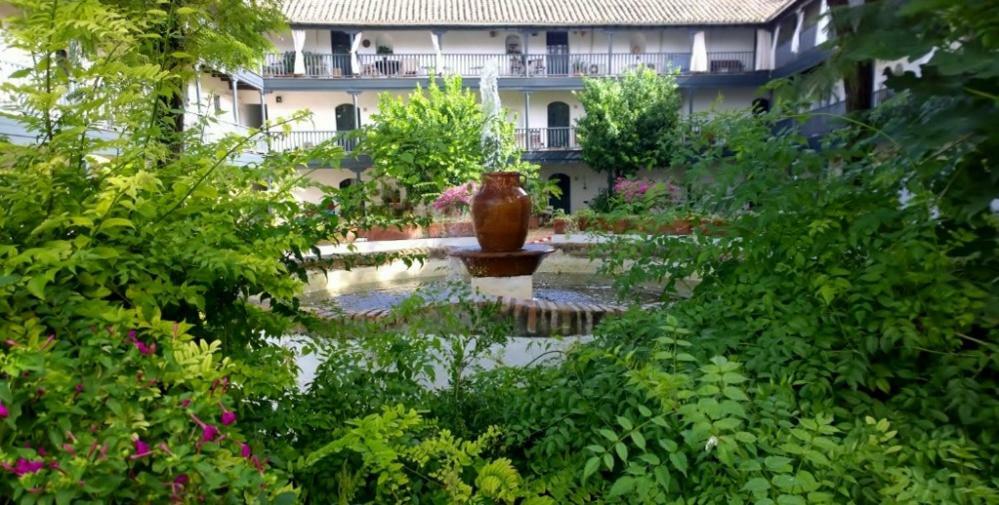 Un Oasis En El Corazon De Seville
