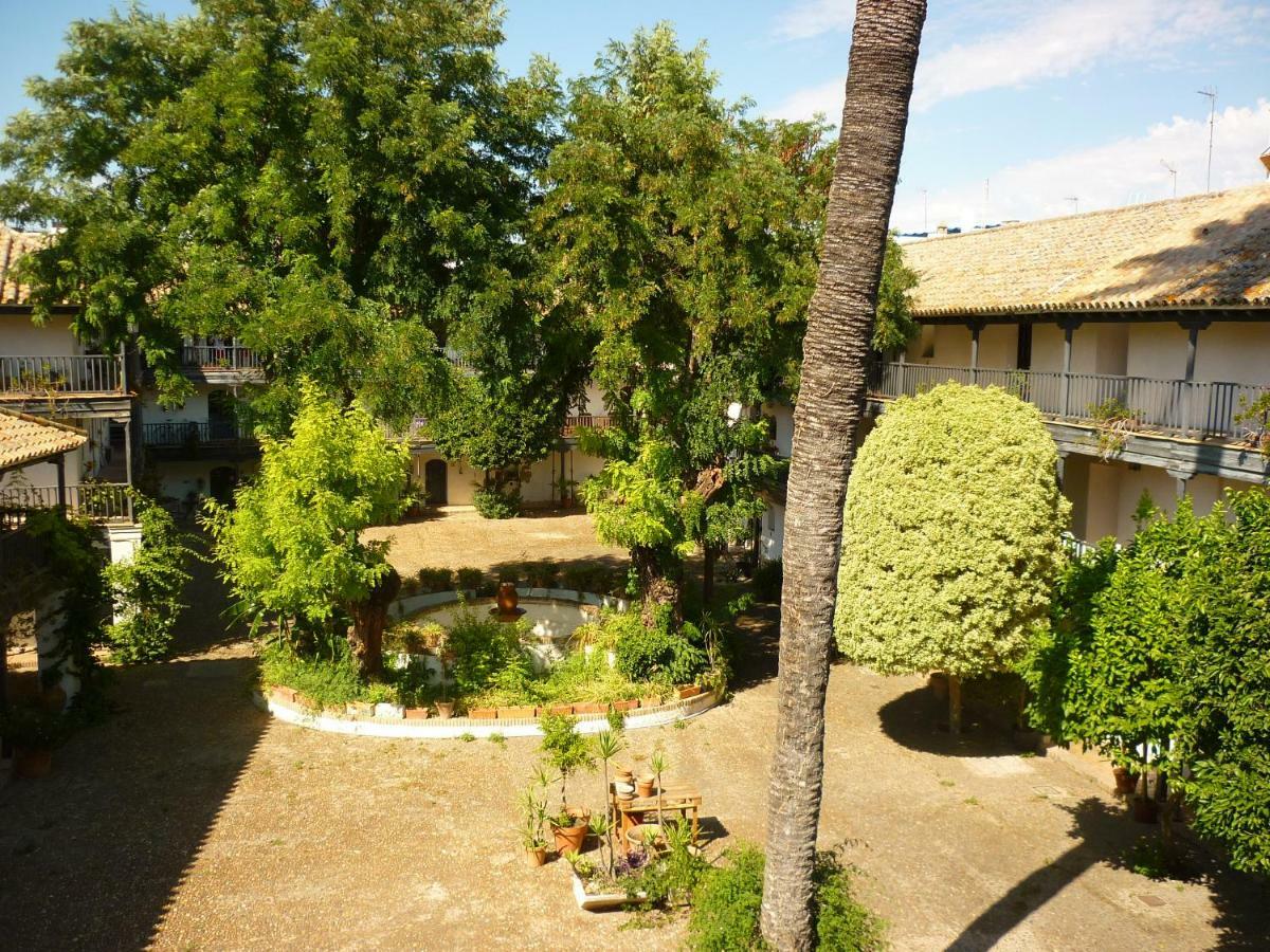 Un Oasis En El Corazon De Seville