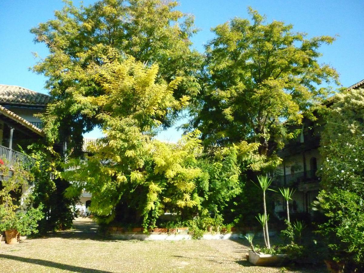 Un Oasis En El Corazon De Apartment