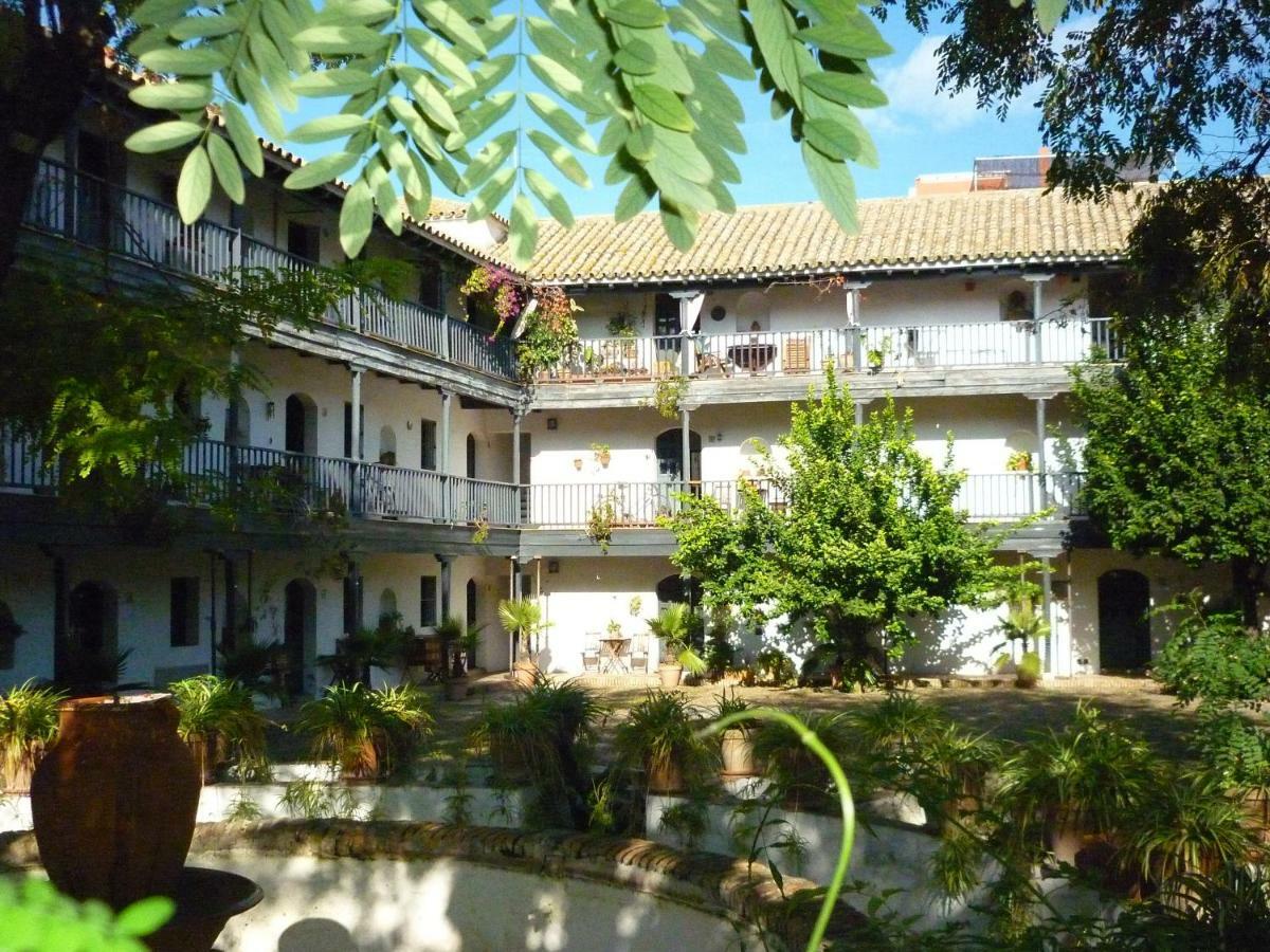 Un Oasis En El Corazon De Apartment