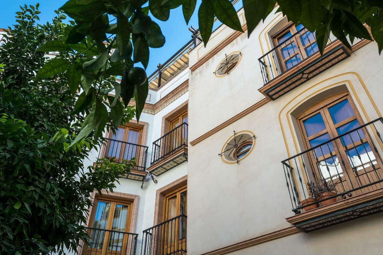 Descubrehome Postigo Del Aceite Terraza Interior Sevilla