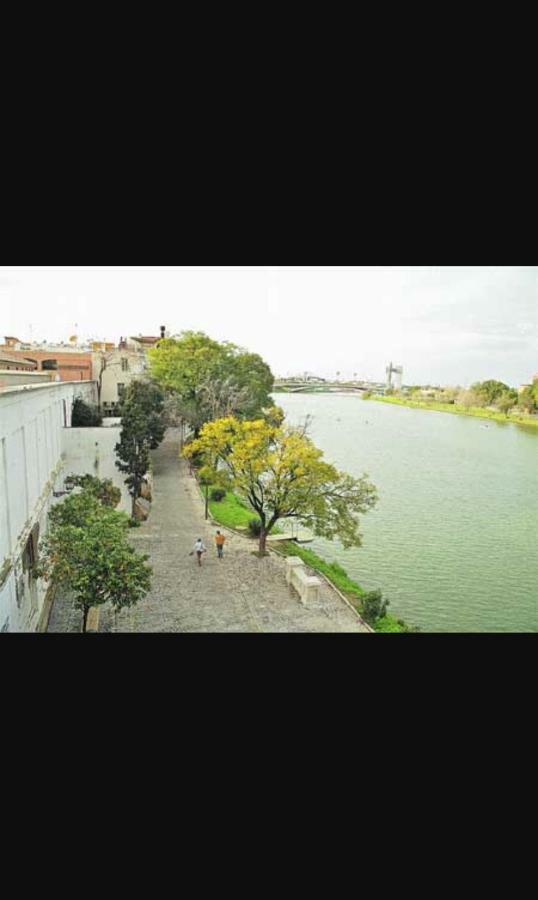 Maravilloso ático Puente De Triana *