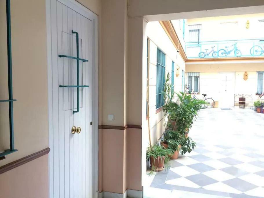 Magnifico Apartamento En El Centro De