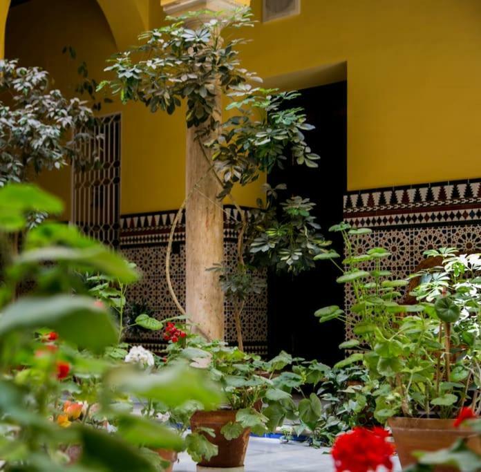 En Casa Palacio Catedral Apartamento
