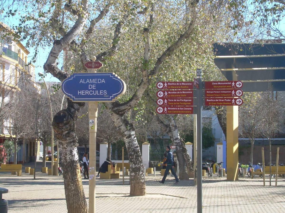 Apartment Medina And Parking Historical Center *